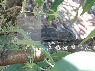 广东珠海婚姻律师收费 广东珠海婚姻律师收费