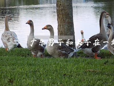 广东男子和女子在一起闹离婚 广东男子和女子在一起闹离婚