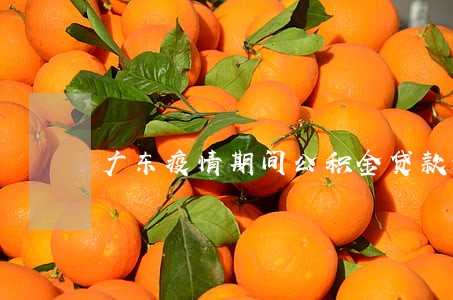 广东疫情期间公积金贷款逾期 广东疫情期间公积金贷款逾期