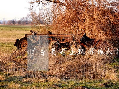 广东省专业环保维权律师 广东省专业环保维权律师