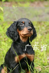 广东省专利代理收费标准国内部分 广东省专利代理收费标准国内部分