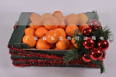 广东省东莞市劳动局电话多少 广东省东莞市劳动局电话多少