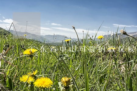 广东省中山可靠的取保候审律师 广东省中山可靠的取保候审律师