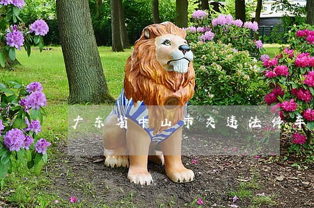 广东省中山市交违法停车罚单 广东省中山市交违法停车罚单