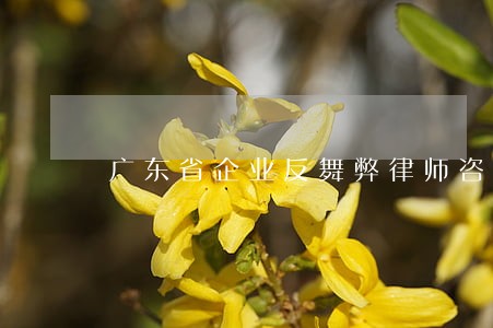 广东省企业反舞弊律师咨询电话 广东省企业反舞弊律师咨询电话