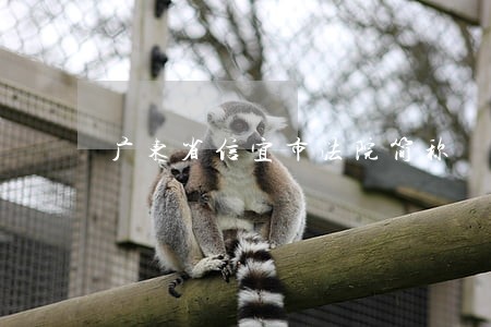 广东省信宜市法院简称 广东省信宜市法院简称