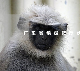 广东省前司法厅长 广东省前司法厅长