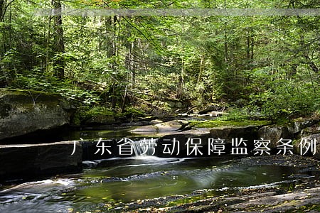 广东省劳动保障监察条例 广东省劳动保障监察条例