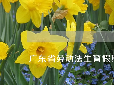 广东省劳动法生育假期