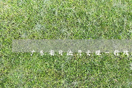 广东省司法厅受理一行政复议案 广东省司法厅受理一行政复议案