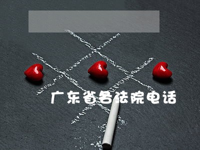 广东省各法院电话 广东省各法院电话