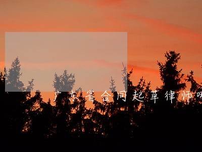 广东省合同起草律师哪里找 广东省合同起草律师哪里找