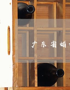广东省婚姻房产律师 广东省婚姻房产律师