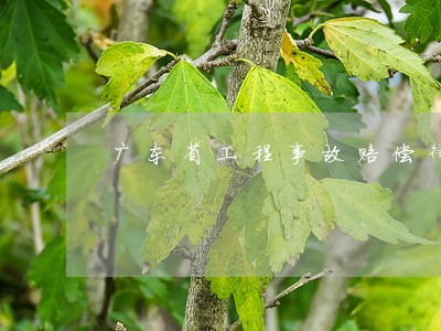 广东省工程事故赔偿律师咨询电话 广东省工程事故赔偿律师咨询电话