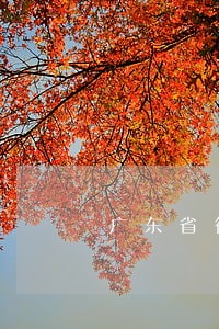 广东省律师诉讼收费标准 广东省律师诉讼收费标准