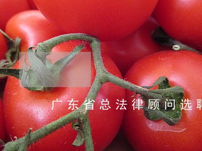 广东省总法律顾问选聘 广东省总法律顾问选聘