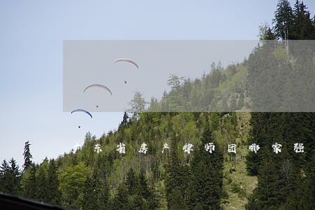 广东省房产律师团哪家强 广东省房产律师团哪家强