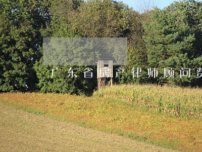 广东省房产律师顾问费用 广东省房产律师顾问费用