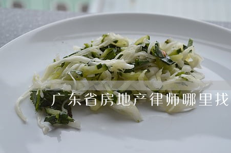 广东省房地产律师哪里找 广东省房地产律师哪里找