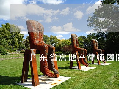 广东省房地产律师团队 广东省房地产律师团队