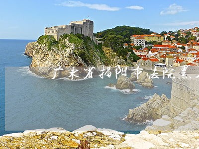 广东省揭阳市法院黑名单李东 广东省揭阳市法院黑名单李东