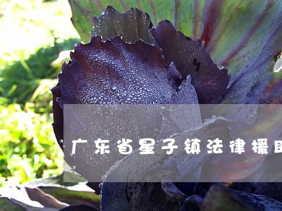 广东省星子镇法律援助中