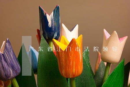 广东省江门市法院领导 广东省江门市法院领导