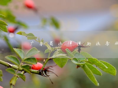 广东省法律援助法条例 广东省法律援助法条例