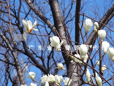 广东省法律顾问代理 广东省法律顾问代理