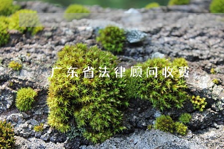广东省法律顾问收费 广东省法律顾问收费