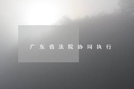 广东省法院协同执行