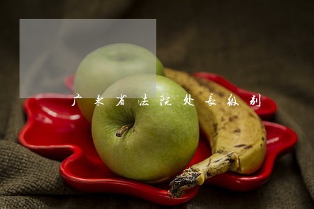广东省法院处长级别 广东省法院处长级别