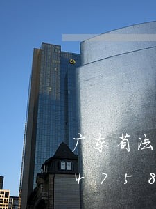 广东省法院拍卖申请书/2023022447582