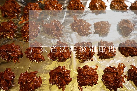 广东省法院级别审理 广东省法院级别审理