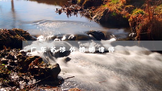 广东省涉外婚姻律师 广东省涉外婚姻律师