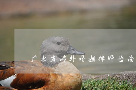 广东省涉外婚姻律师咨询 广东省涉外婚姻律师咨询