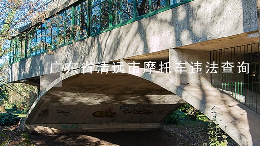 广东省清远市摩托车违法查询
