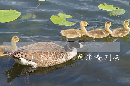 广东省潮州市法院判决