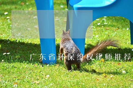 广东省环保维权律师推荐