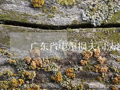 广东省电量损夫司法评估机构名册 广东省电量损夫司法评估机构名册