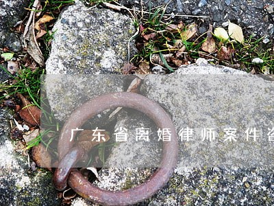 广东省离婚律师案件咨询 广东省离婚律师案件咨询