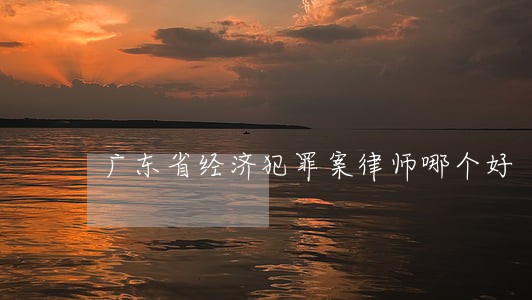 广东省经济犯罪案律师哪个好 广东省经济犯罪案律师哪个好