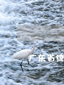 广东省统计违法违纪行为处分 广东省统计违法违纪行为处分