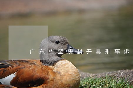 广东省肇庆封开县刑事诉讼律师 广东省肇庆封开县刑事诉讼律师