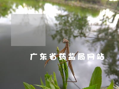 广东省药监局网站 广东省药监局网站