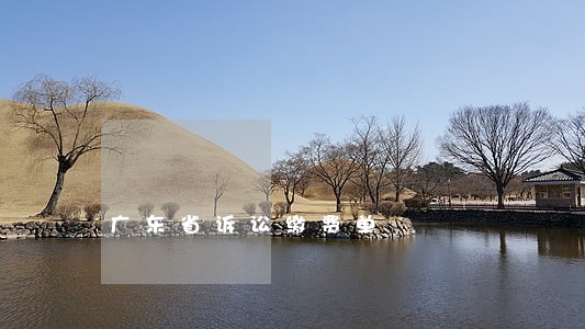 广东省诉讼缴费单 广东省诉讼缴费单