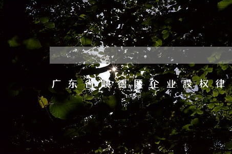 广东省顺德区企业股权律师找谁好 广东省顺德区企业股权律师找谁好