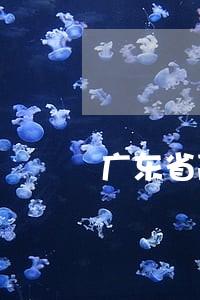 广东省高级人民法院再审期限