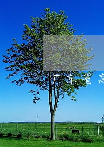 广东省高级人民法院刑事三庭 广东省高级人民法院刑事三庭