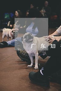 广东知名民事纠纷律师收费 广东知名民事纠纷律师收费